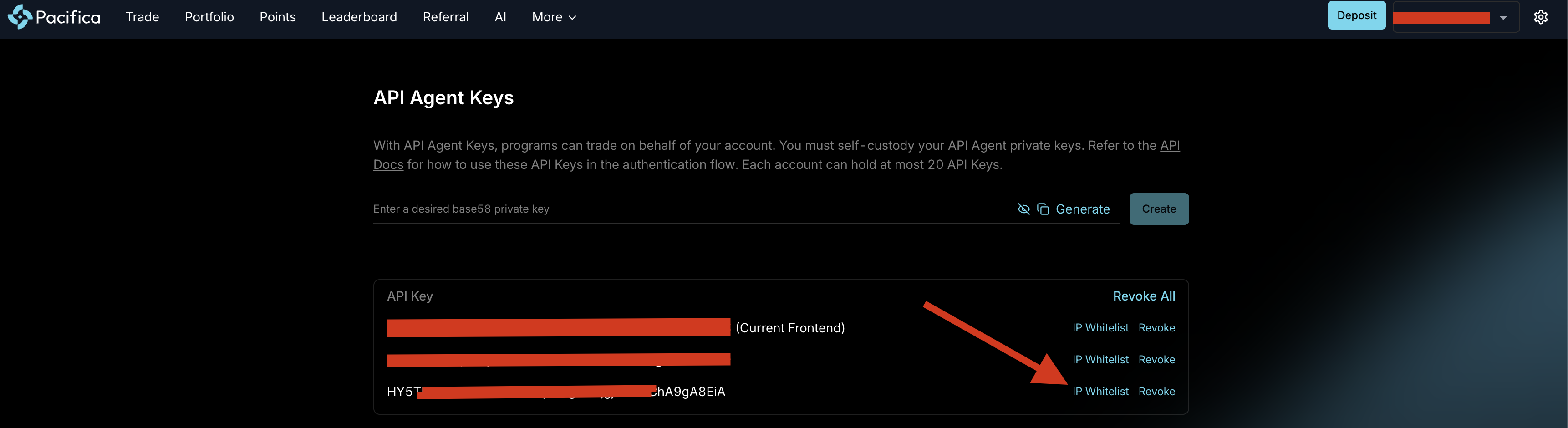 IP Whitelisting